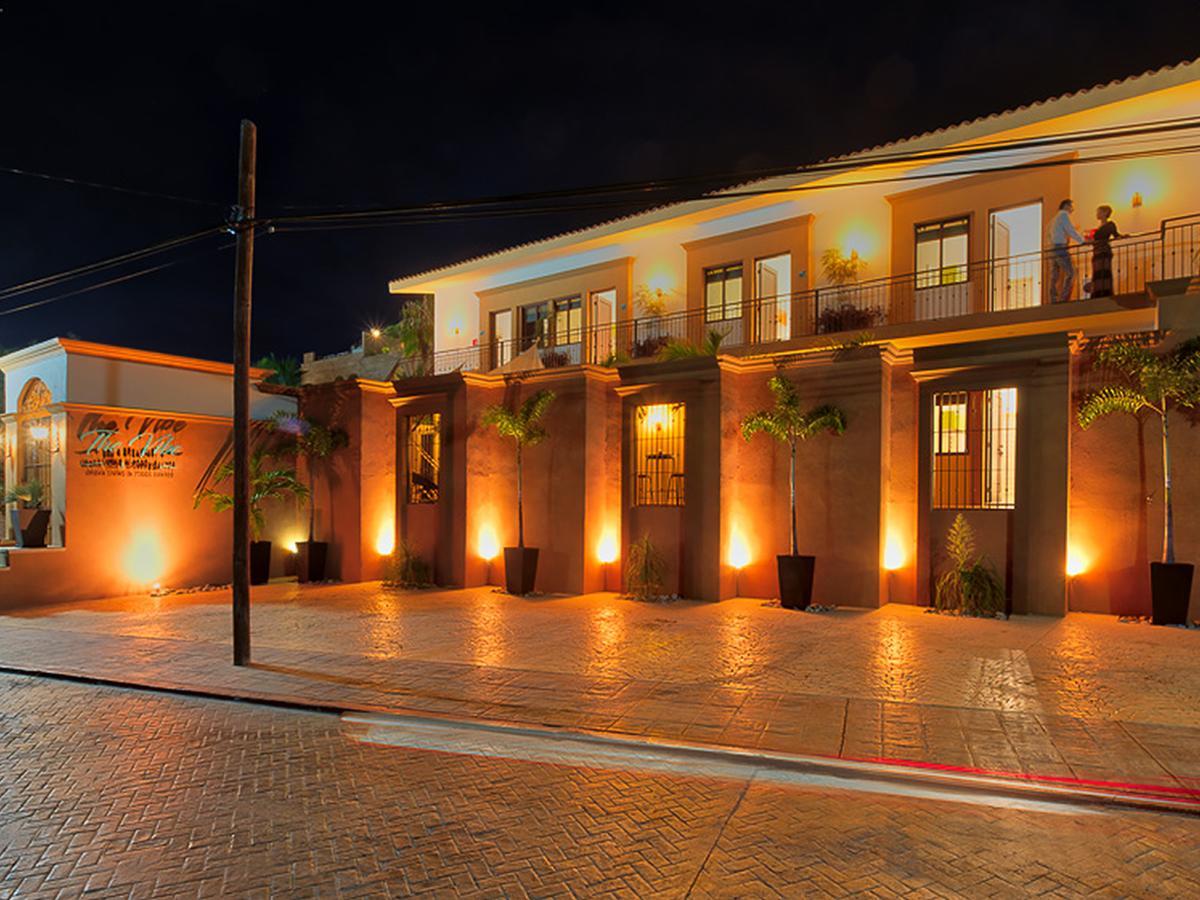 The Vibe Boutique Bed & Breakfast (Adults Only) Todos Santos Ngoại thất bức ảnh